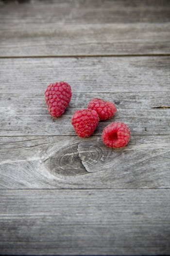 Red Raspberries