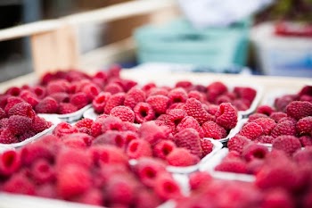 Red Raspberries on White Container