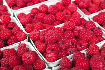 Red Raspberry