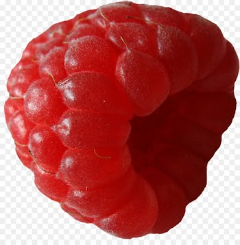 Red raspberry Cheesecake Fruit Berries - raspberry 