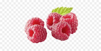 Red raspberry Drawing Image Unsere Heimat - framboise background 