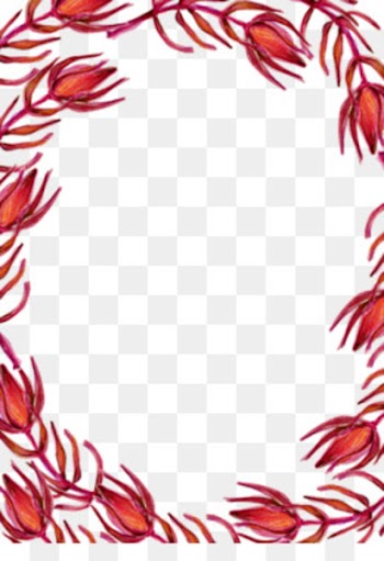 Red - Red Line border 