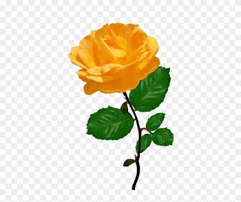 Red Red Rose Clipart, Orange Rose Clipart With Leaves - Orange Rose Clipart