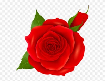 Red Rose And Bud Transparent Png Clip Art - Pink Roses Png