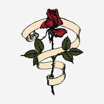 Red rose and roll illustration. | Free Photo - rawpixel