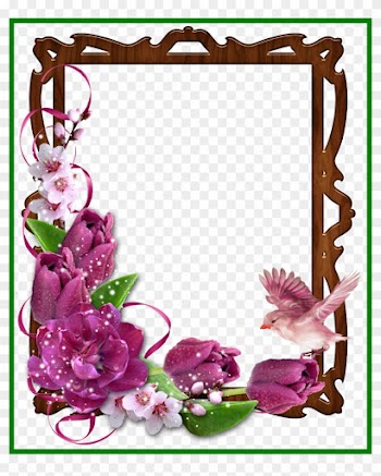 Red Rose Border Red Rose Borders And Frames Appealing - Flower And Ribbon Border Cliparts