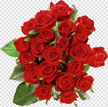 Red rose bouquet, Rose Flower , Bouquet Of Roses transparent background PNG clipart