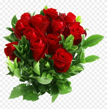 Red Rose Clip Art Png - Red Rose Flowers Png