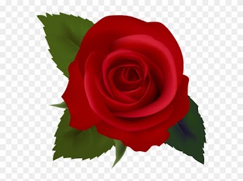 Red Rose Clip Art - Red Rose Clip Art
