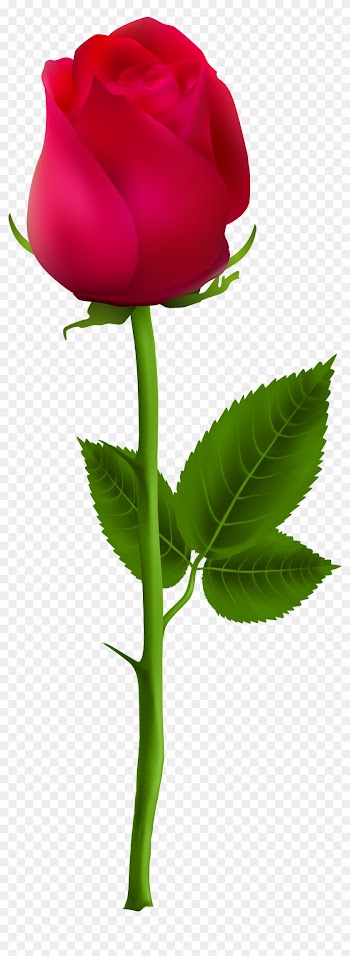 Red Rose Clip Art - Rose Bud Png