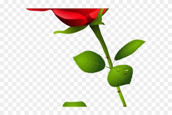 Red Rose Clipart Butterfly Clipart - Cliparts Transparents Roses Rose