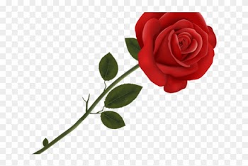 Red Rose Clipart Double - Transparent Background Rose Clipart