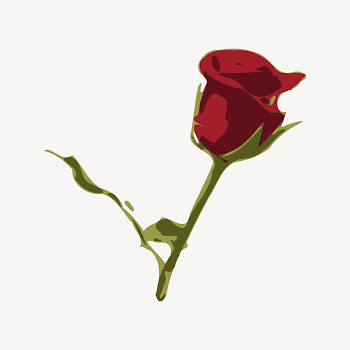 Red rose clipart illustration psd. | Free PSD - rawpixel