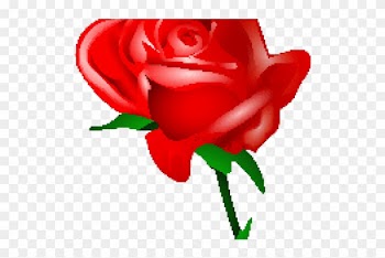 Red Rose Clipart Rad - Cartoon Red Rose Png