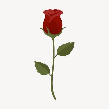 Red rose collage element, cute | Free Vector Illustration - rawpixel