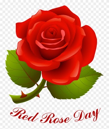 Red Rose Day