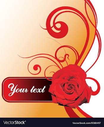 Red Rose Design with Text Space vector image