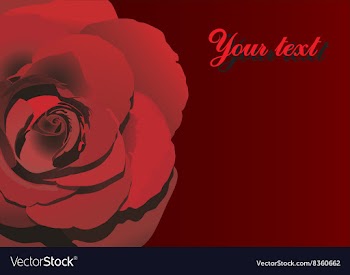 Red Rose Design with Text Space vector image