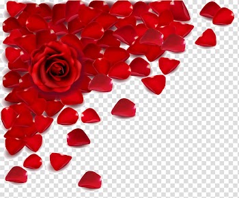 Red rose flower and red rose flower petals art, Love Valentine's Day Propose Day Romance Girlfriend, falling transparent background PNG clipart