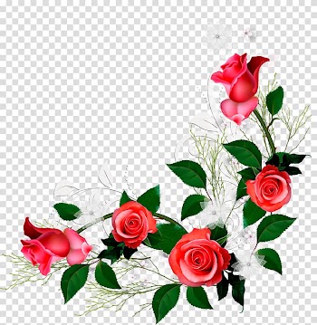 Red rose flower art, Garden roses Love Flower Floral design Religious text, rosas vermelhas transparent background PNG clipart