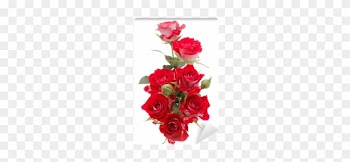 Red Rose Flower Bouquet Isolated On White Background - Rose Flower