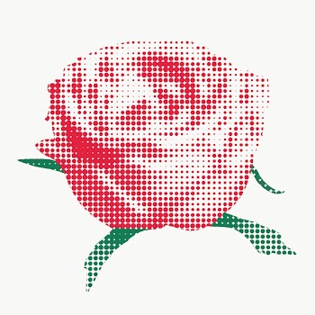 Red rose flower halftone style design element | Free  transparent png - 2338336