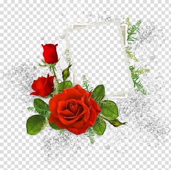 Red rose flowers and lace border, Frames Wedding invitation , love frame transparent background PNG clipart