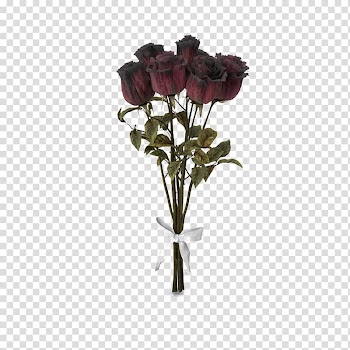 Red rose flowers, Garden roses Beach rose Flower bouquet, Dry rose bouquet transparent background PNG clipart