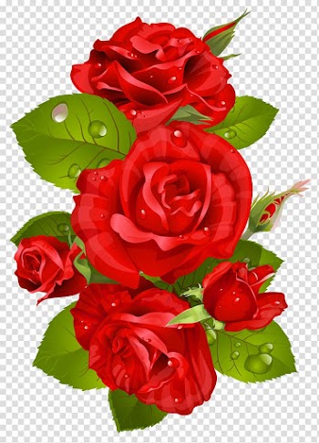 Red rose flowers illustration, Rose Red Flower , Red Rose Decoration transparent background PNG clipart