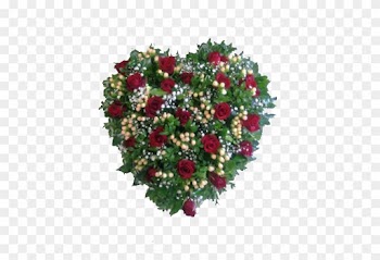 Red Rose Heart - Garden Roses