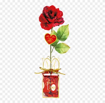 Red Rose - Heidel Rote Rose Für Dich Mit Schokoladenkugeln, 75g