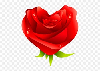 Red Rose Icon - Rose