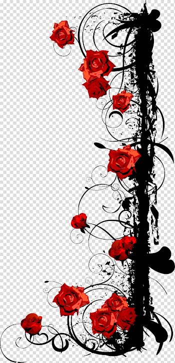 Red rose illustration, Beach rose Euclidean , Rose Vine transparent background PNG clipart
