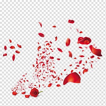 Red rose illustration, CorelDRAW Toner Adobe Illustrator, Rose petal transparent background PNG clipart