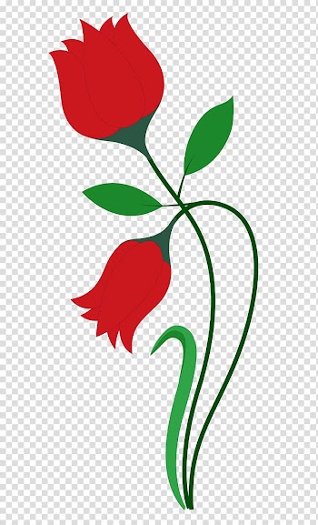 Red rose illustration, Flower Rose, Rose Flower transparent background PNG clipart