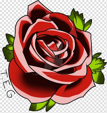 Red rose illustration, Rose Tattoo Rosario Delle Rose, Rose Tattoo transparent background PNG clipart
