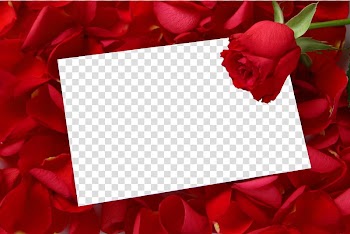 Red rose letter, Frames Rose Desktop , Mothers Day transparent background PNG clipart