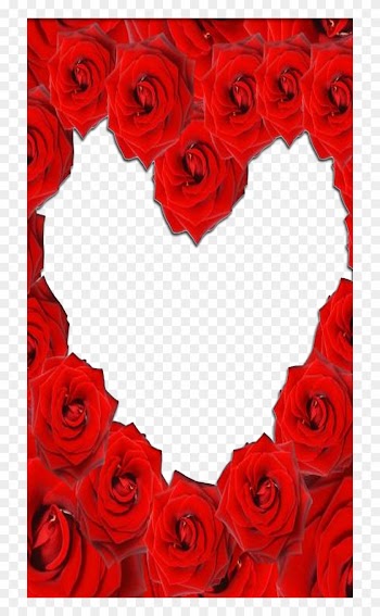 Red Rose Love Frame - Rose Love Frame