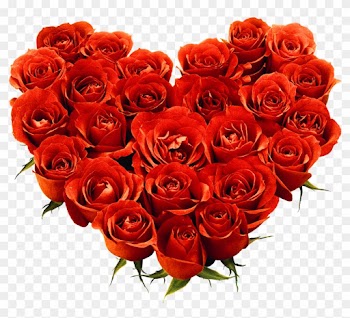 Red Rose Love Heart - Love Rose Flower Png