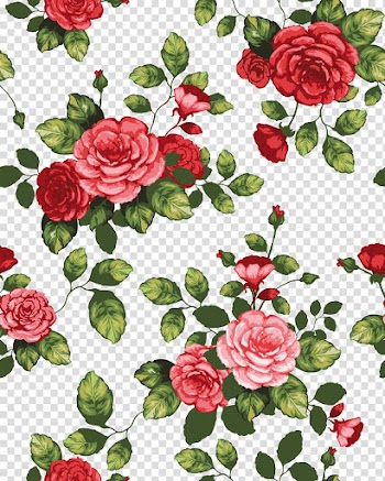 Red rose , Paper Flower Drawing, Beautiful flowers cartoon border Shading transparent background PNG clipart