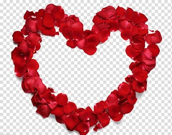 Red rose petals heart decor, Heart Beach rose Petal Flower, Rose heart-shaped frame transparent background PNG clipart