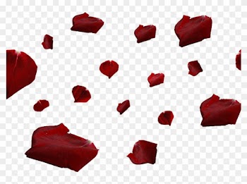 Red Rose Petals Png - Red Rose Petals Png