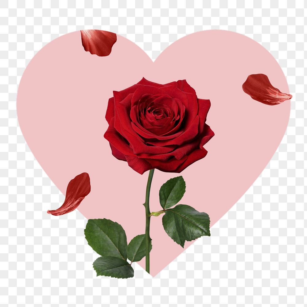 Red rose png badge sticker, | Free PNG - rawpixel