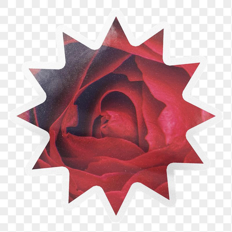 Red rose png close up, | Free PNG - rawpixel
