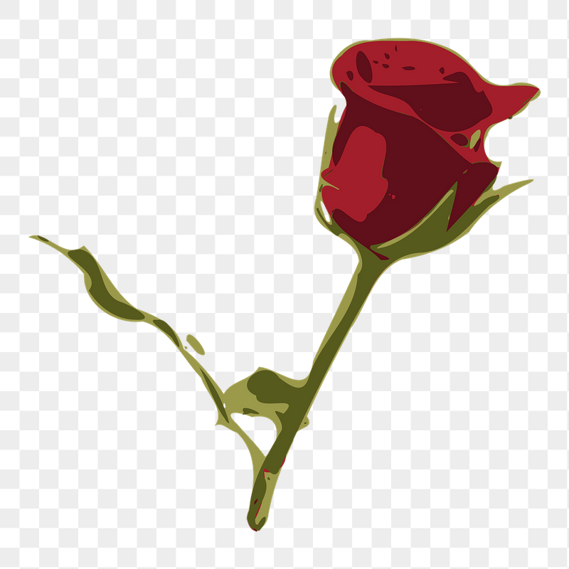 Red rose png sticker illustration, | Free PNG - rawpixel