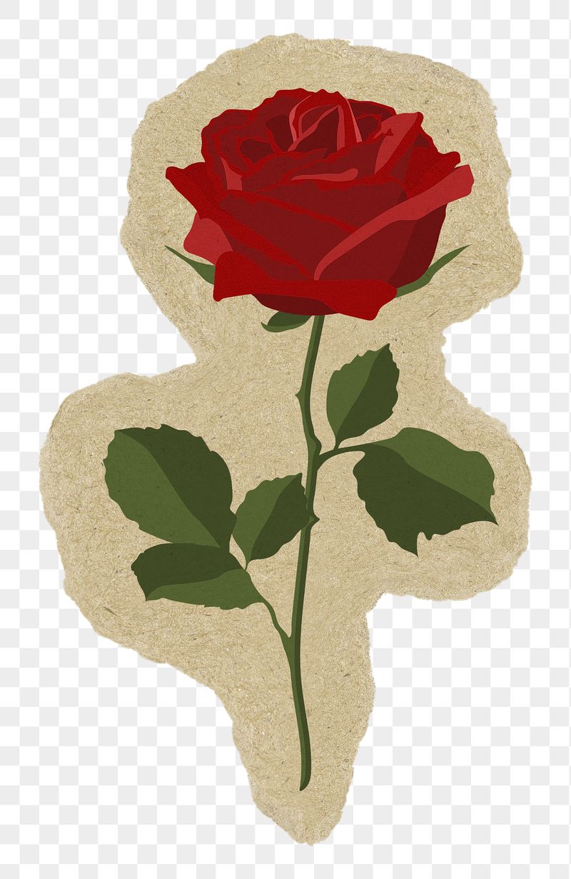 Red rose png sticker, torn | Free PNG Illustration - rawpixel