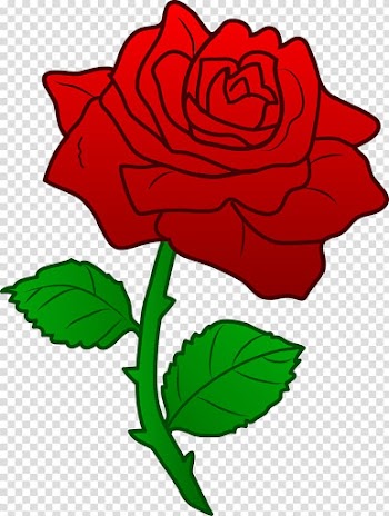 Red rose , Rose Flower , Beauty And The Beast transparent background PNG clipart