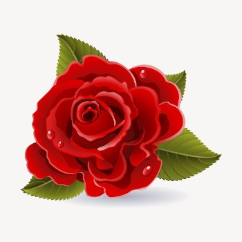 Red rose sticker, valentine's day | Free Vector - rawpixel