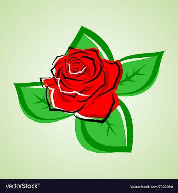 Red rose vector image