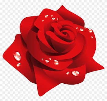 Red Rose With Dew Png Clipart - Rose
